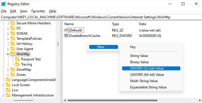 new-dword-value-registry-regedit-winhttp