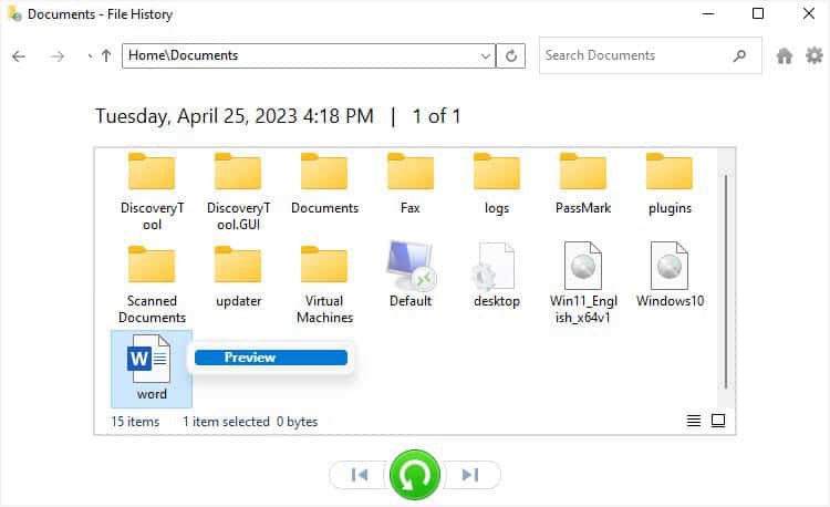 preview the file in file history