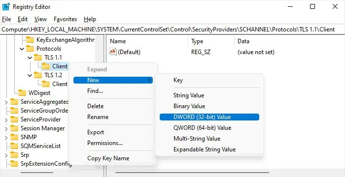 protocols-tls-client-new-dword