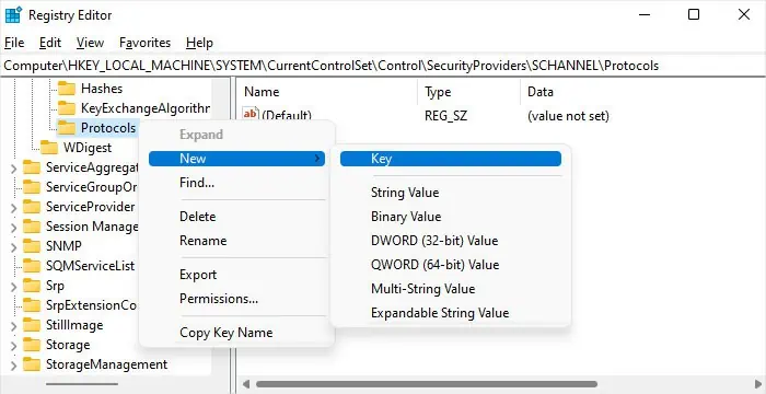 registry-protocols-new-key
