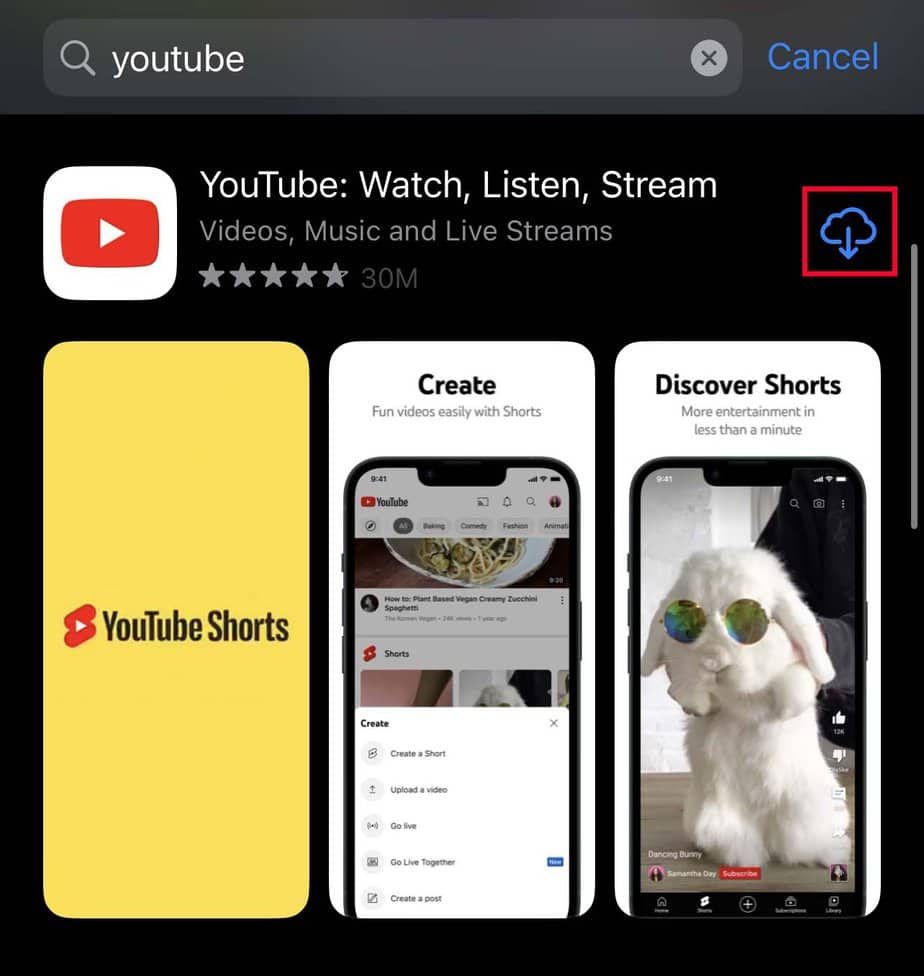 reinstall youtube ios