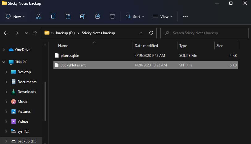 stickynotes-snt file