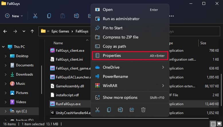 application exe file properties