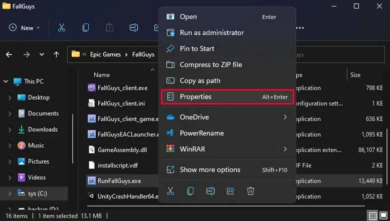 application-exe-file-properties