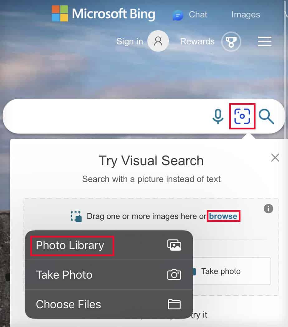 bing image search browse photo library
