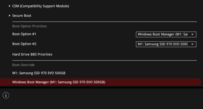 boot override select your drive