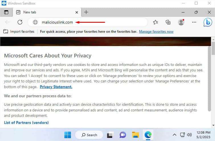 checking url in windows sandbox