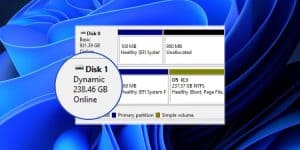 convert to dynamic disk