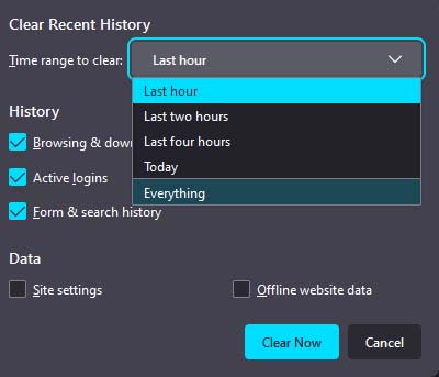 firefox clear recent history time range everything