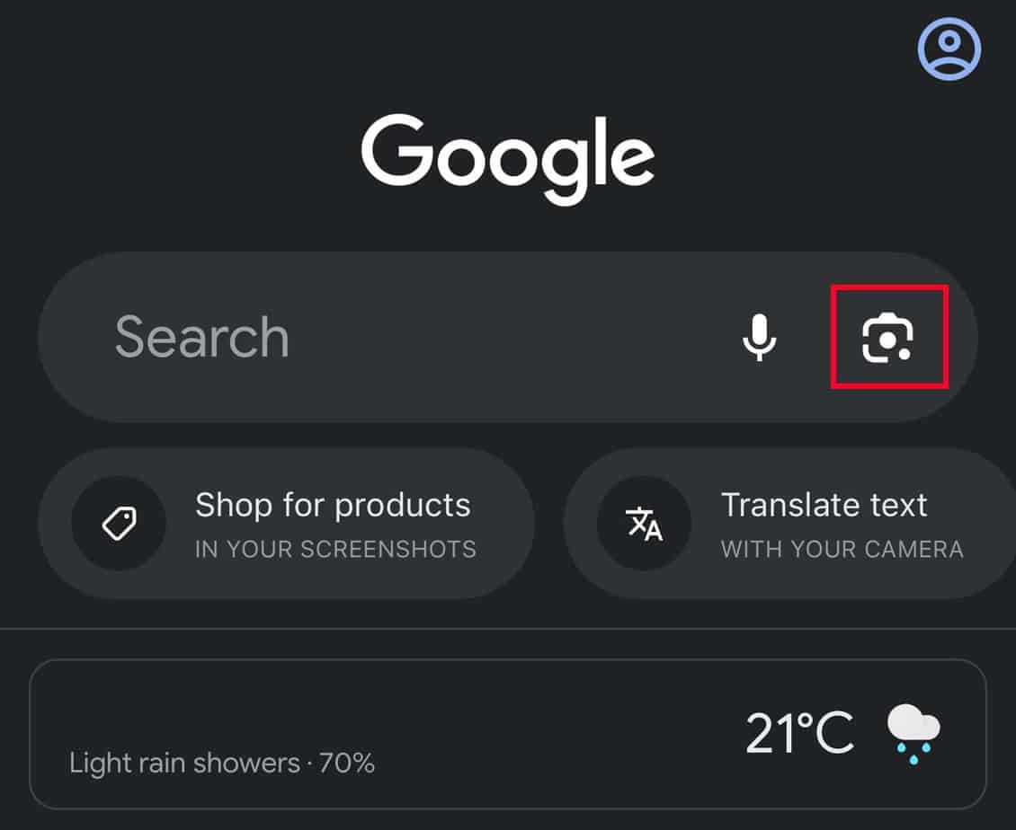google image search camera icon iOS