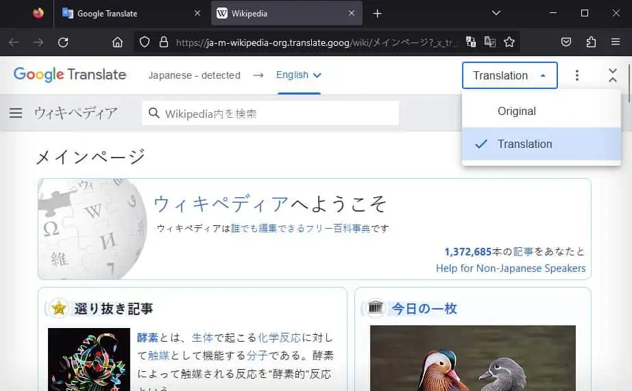 google-translate-website-translation-1