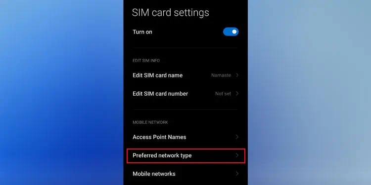 preferred-network-type-setting-phone