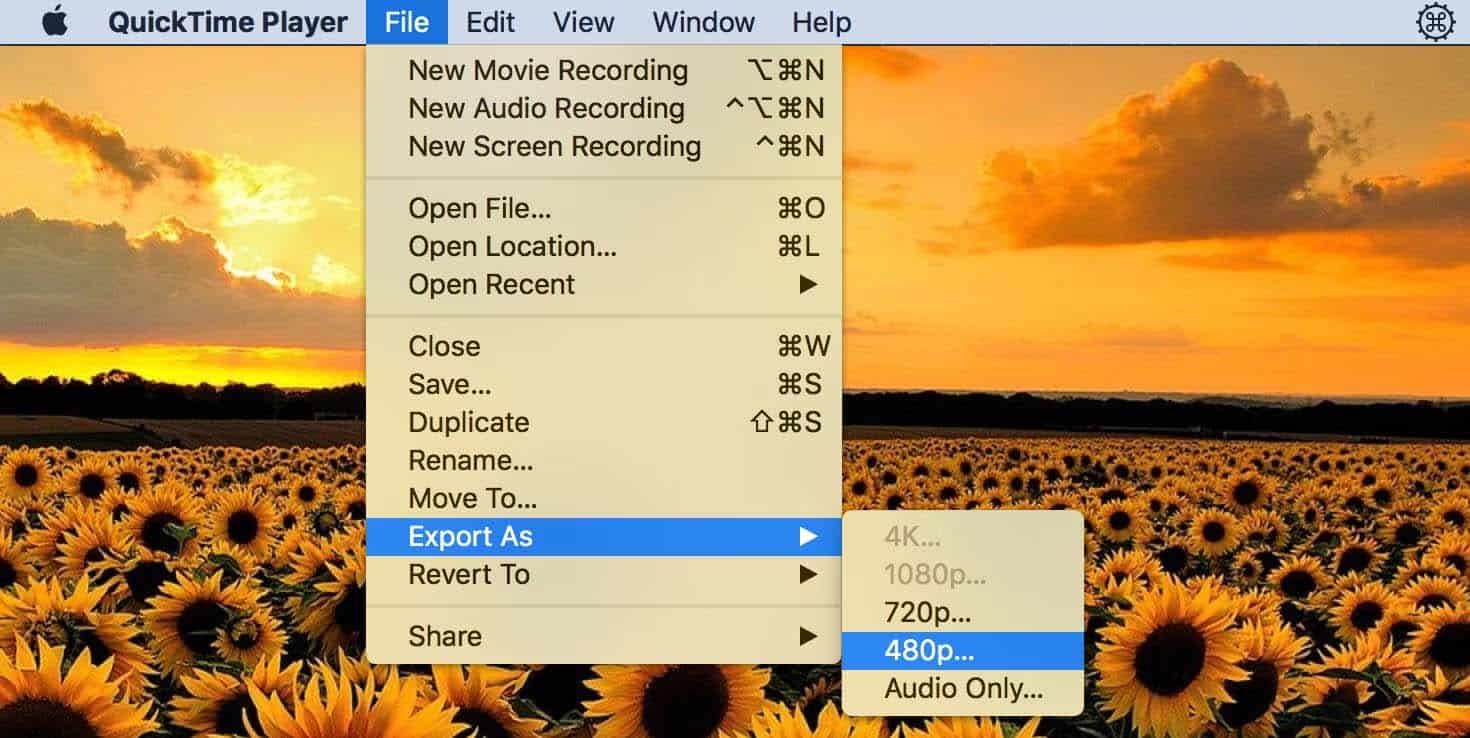 quicktime player export video on low res