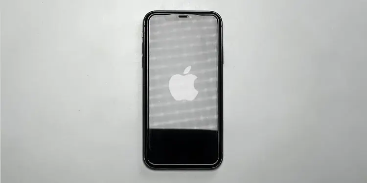turn-off-iphone-clean-lightning-port