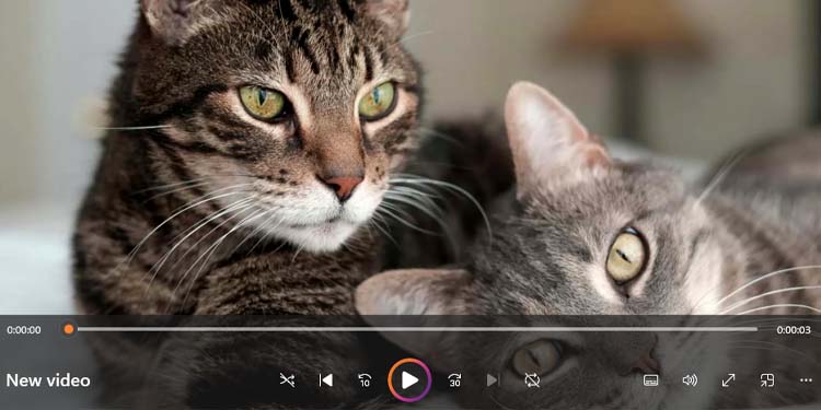 How to Do a Reverse Video Search 1 video frame screenshot