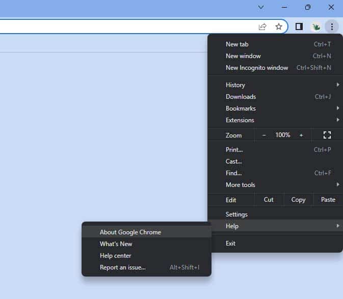 about google chrome