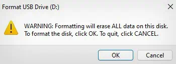 click-ok-to-start-formatting-1