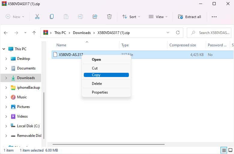 copy the bios file to flash drive