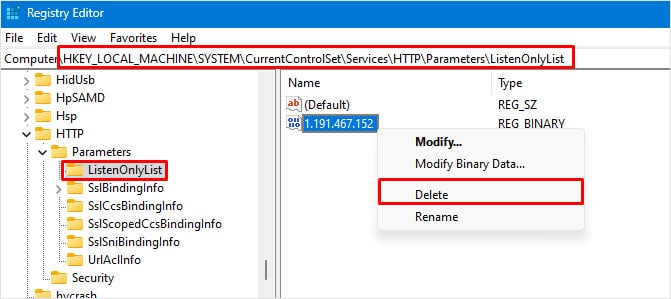 delete ip address file in use by another process