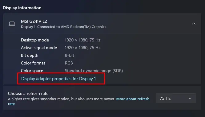 display-adapter-properties-for-display-1