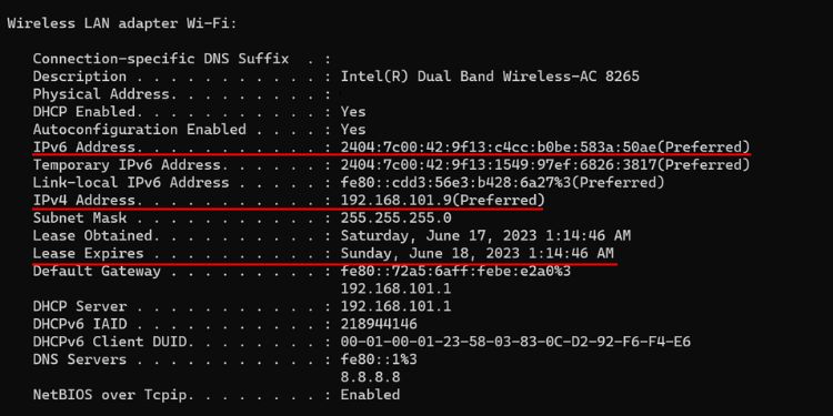 How to Release and Renew an IP Address 9 ipconfig all to verify