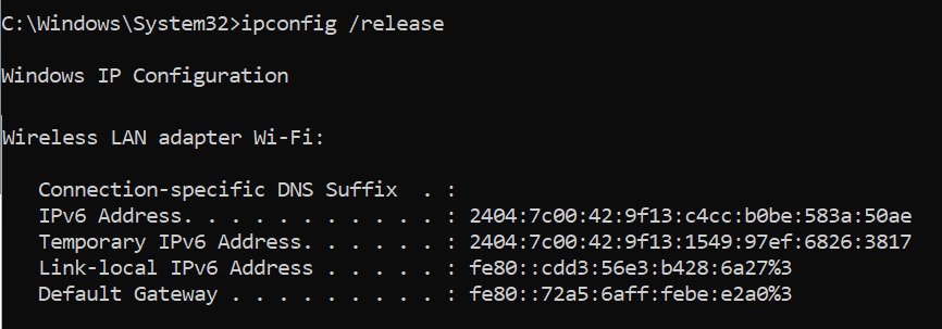 ipconfig release