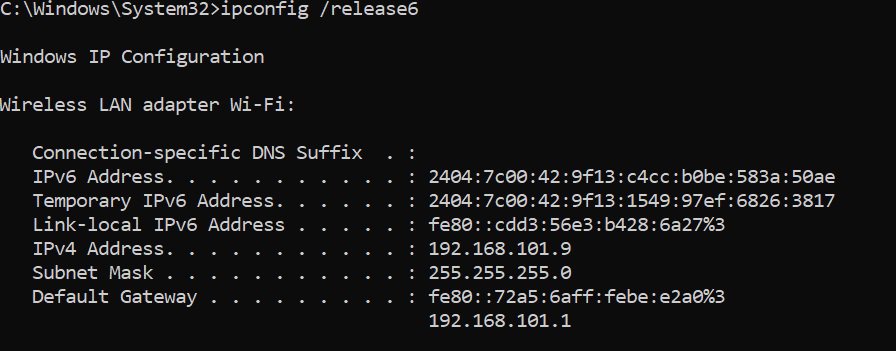 ipconfig release6