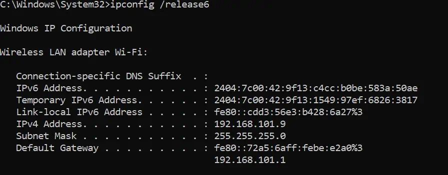 ipconfig-release6