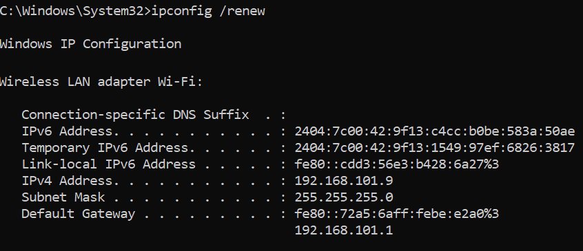 ipconfig renew