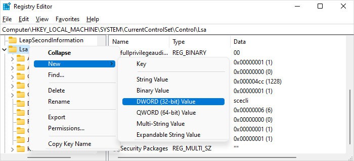 lsa-new-dword-registry