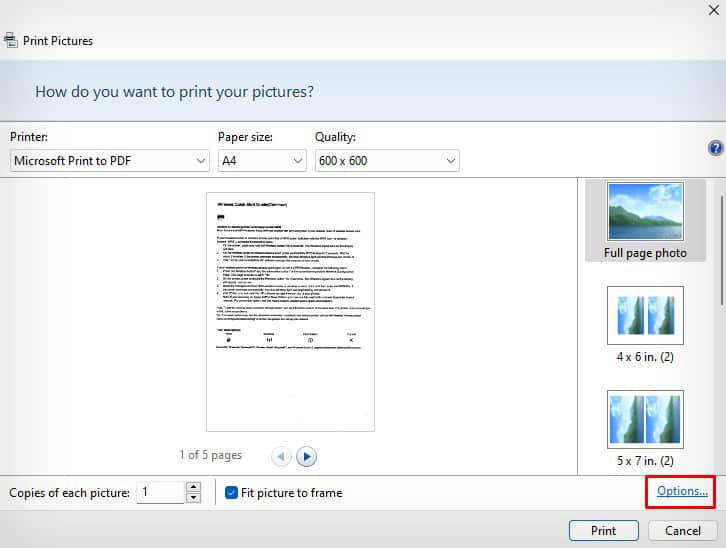 options-button-in-print-pictures-window
