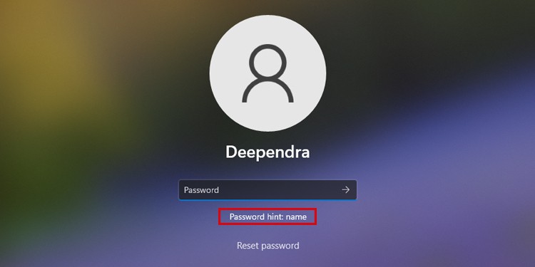 password hint on login page