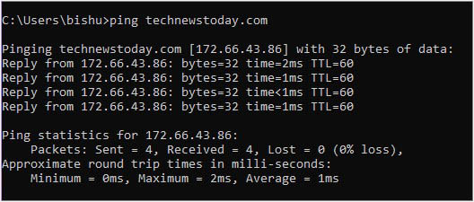ping a website to test internet