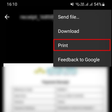 print-option-for-printing-document