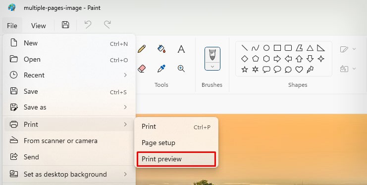 print-preview-in-paint