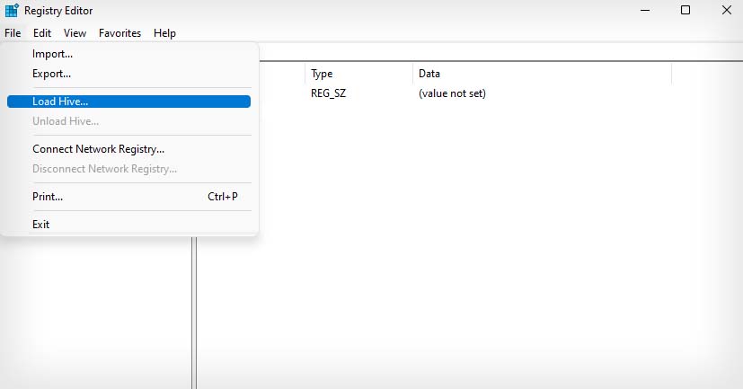 registry editor load hive