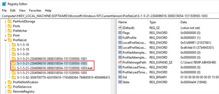 registry-profilelist-bak-duplicate