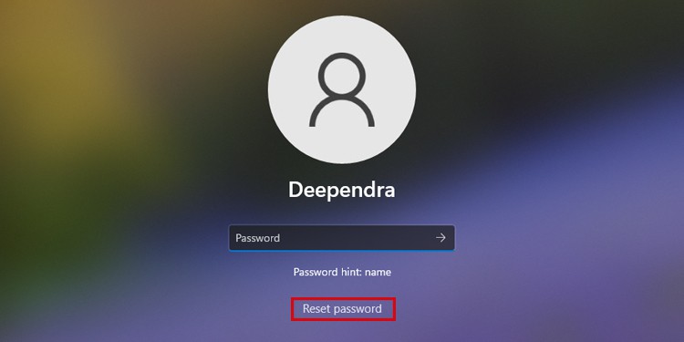 reset-password-option