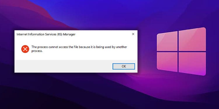 the process cannot access the file because it is being used by another process
