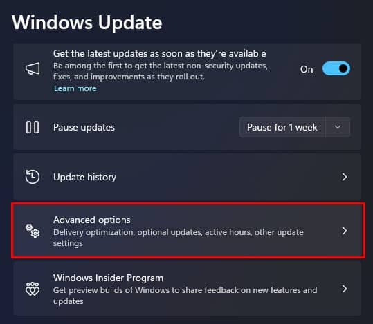 advanced options windows update