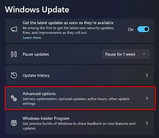 advanced-options-windows-update