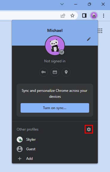 chrome other profiles