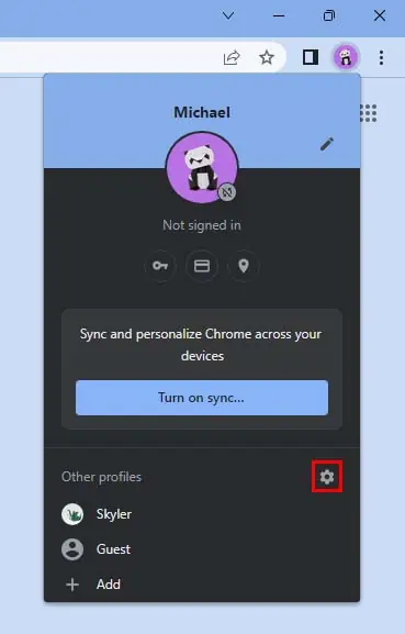 chrome-other-profiles