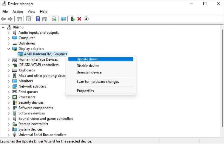 display adapters update driver