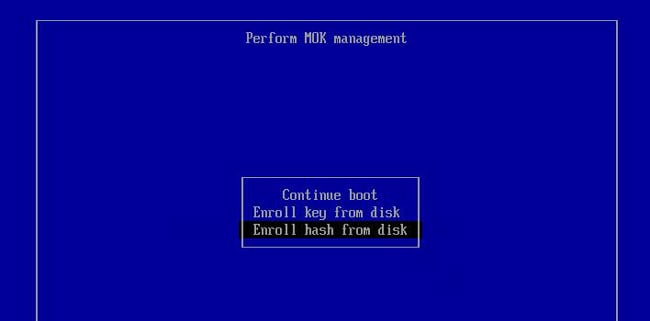 enroll-hash-from-disk-mok