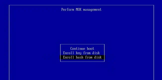 How To Enable Secure Boot Support For Ventoy 9 enroll-hash-from-disk-mok