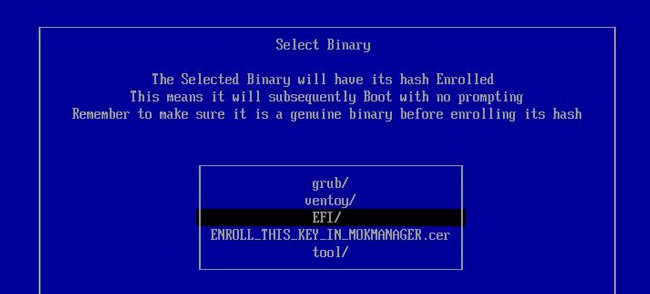 enroll-ventoy-efi-hash