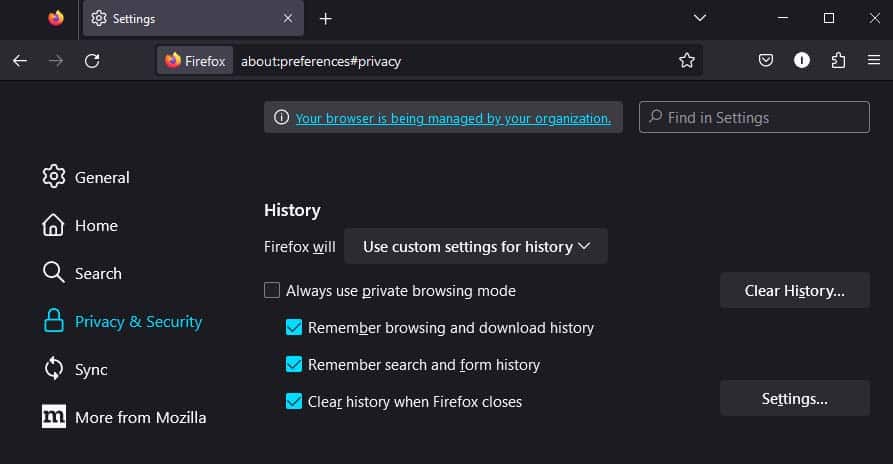 firefox custom history settings