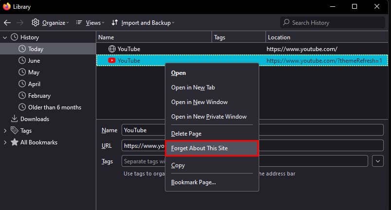 firefox history forget about this site