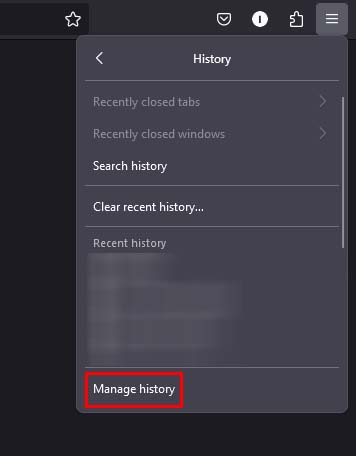 firefox manage history